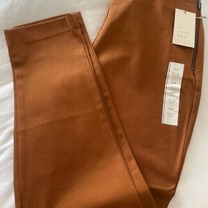 A New Day Cinnamon Skinny Ankle Pants